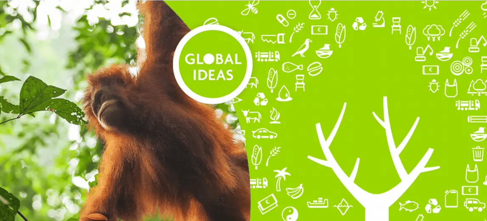 Learning pack #2: Protecting our forests